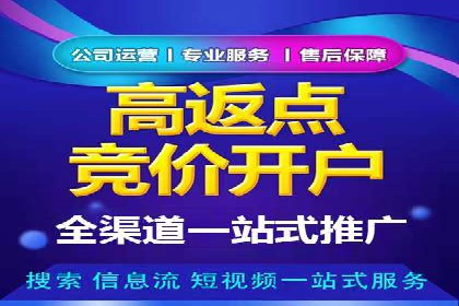 百度竞价广告投放案例剖析